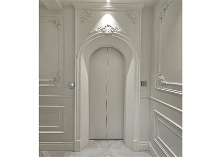 建業桂圓-別墅電梯